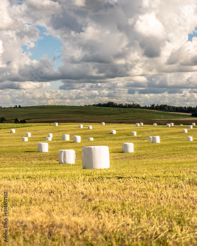 White hay bales in a field