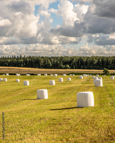 White hay bales in a field