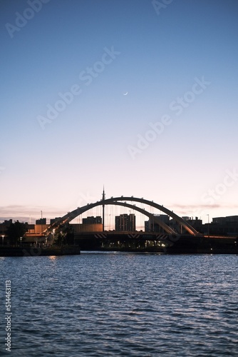 city harbour bridge at sunset © EnzoKin