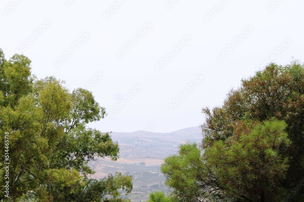 Fototapeta premium Natura in estate