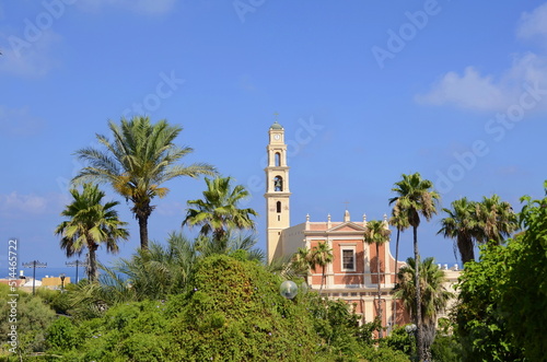 St. Peter's Church in Tel Aviv-Jaffa, Israel and palm