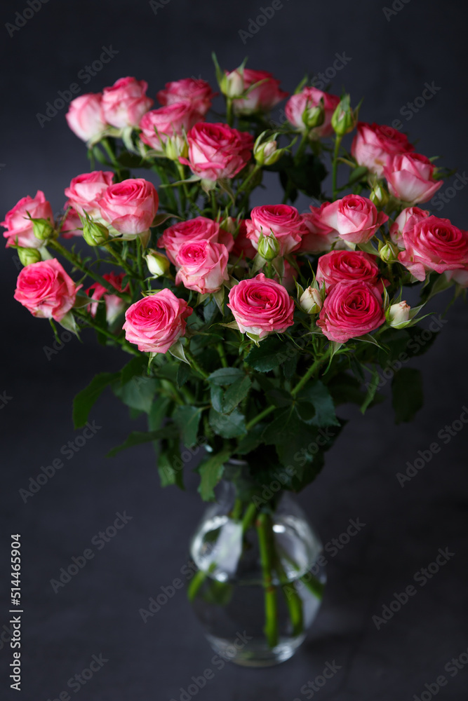 Beautiful bouquet of pink (red) roses bushes on a black background. Selective focus, close-up.