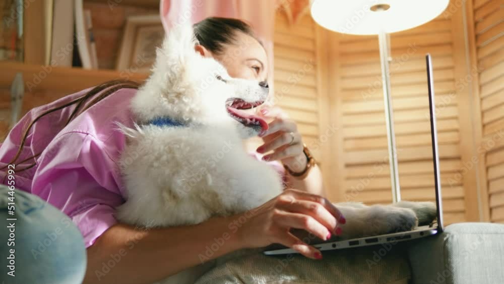 Beautiful young woman hugging with her purebred pet and looking at computer screen with smile. Beautiful young woman hugging with her purebred pet and looking at computer screen with smile.