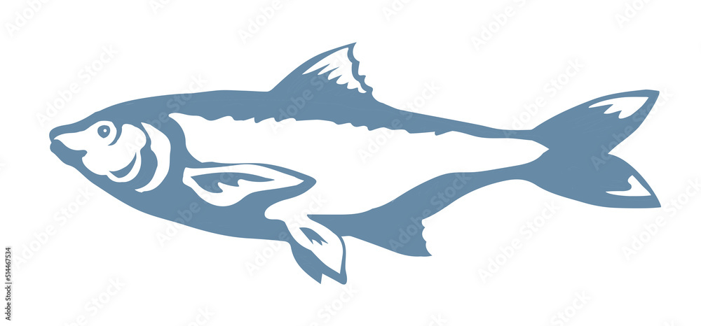 Obraz premium Big sea fish. Vector drawing
