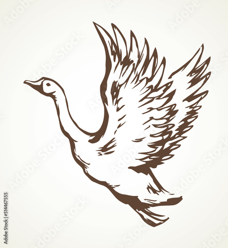 Goose in flight. Vector drawing