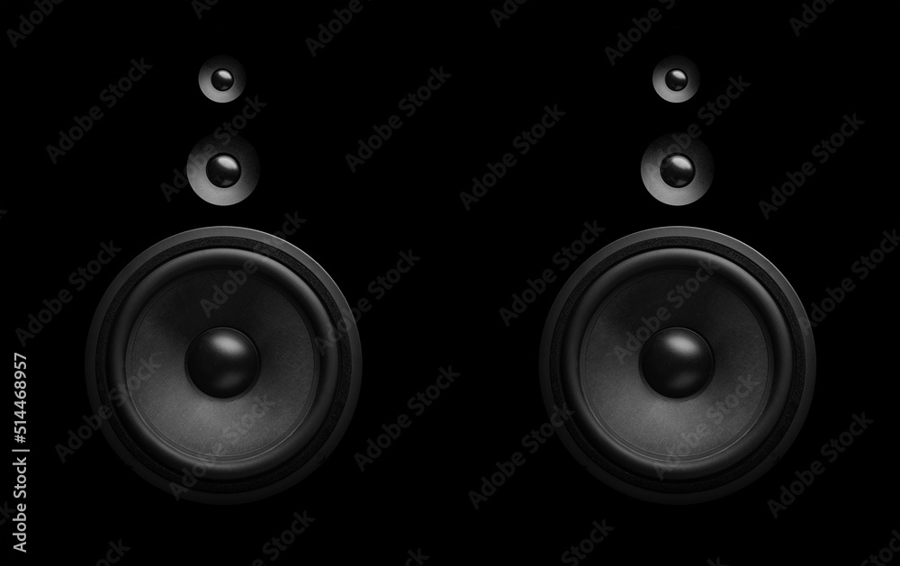 Pair of black speakers close-up. Bass and tweeter in one speaker.