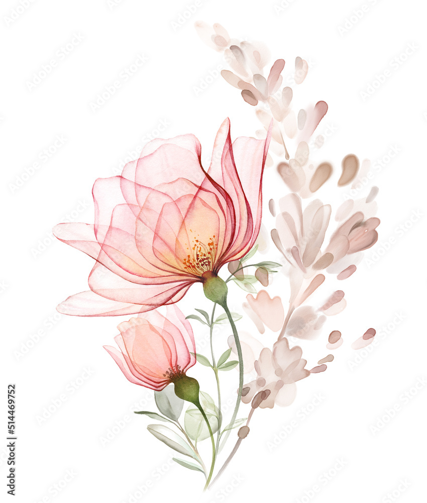 Watercolor Rose bouquet. Big transparent peach flowers with dried pampas grass. Pastel beige composition in modern boho style. Hand painted abstract artwork