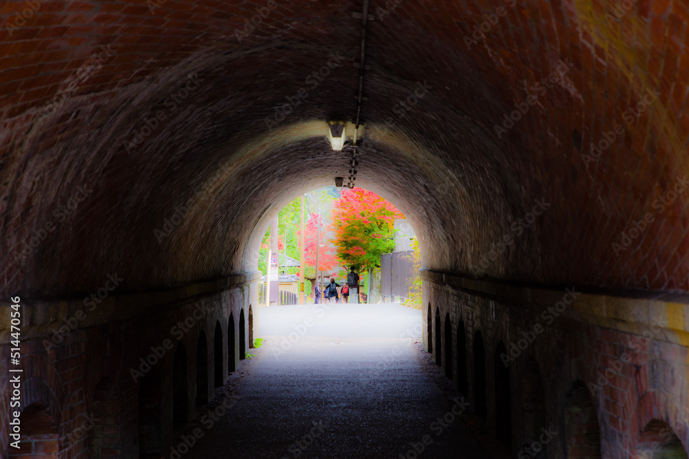 京都南禅寺の紅葉