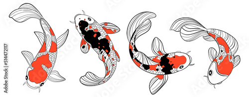 Koi Fish Color Drawing