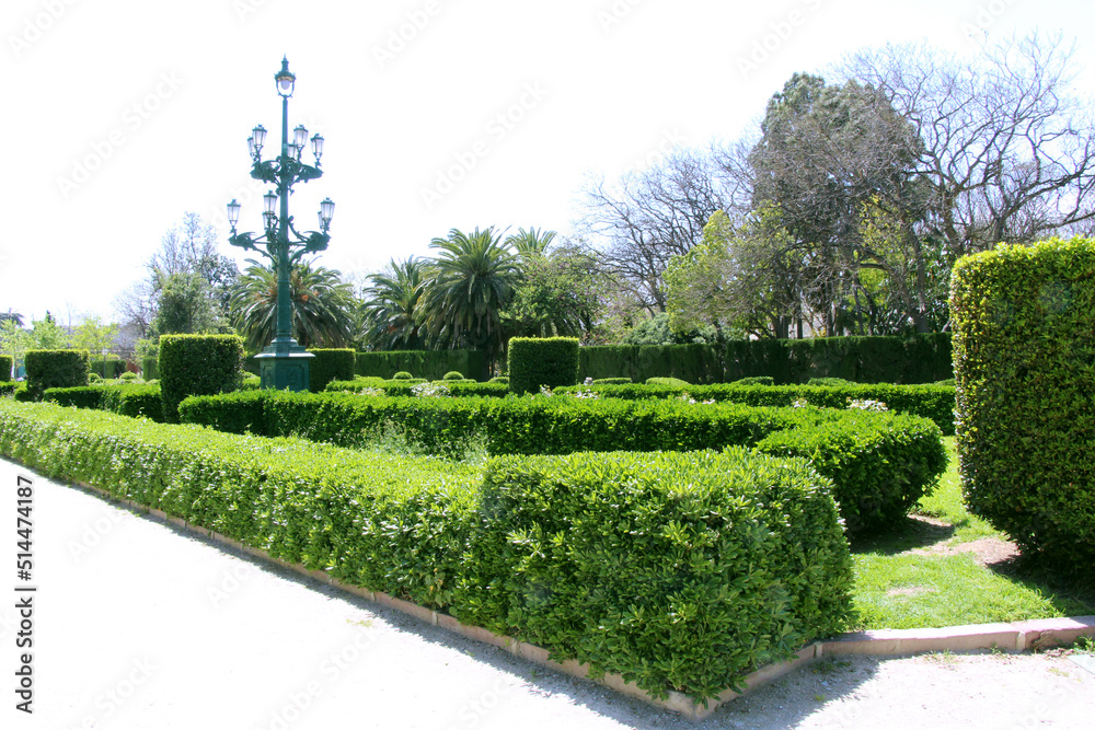 Naklejka premium garden