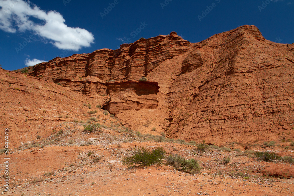 The red desert. View of the canyon, sandstone and rocky mountains under a blue sky.