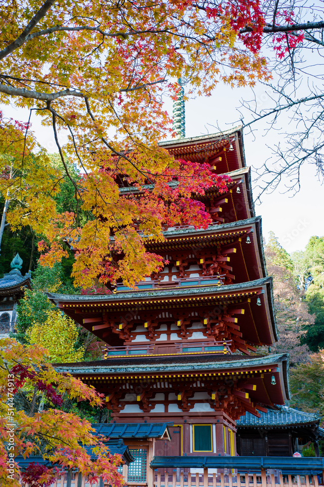 長谷寺(奈良県桜井市) 長谷寺(奈良県桜井市)