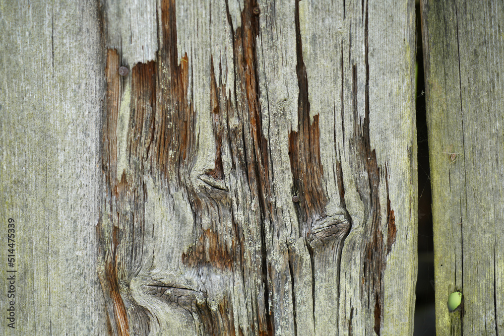 Obraz premium Wooden wall