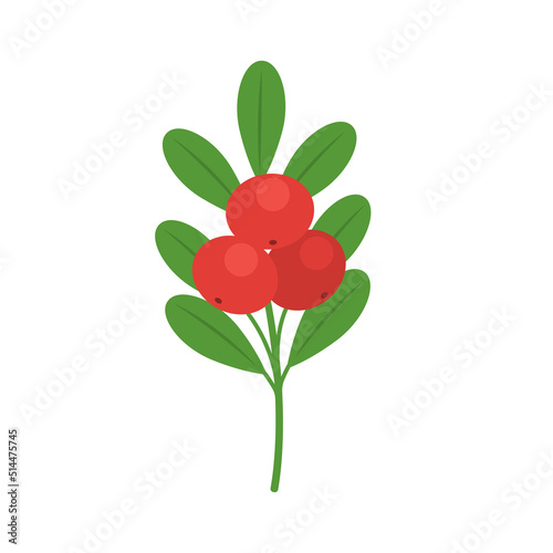 Bearberries with leaves isolated on white background. Arctostaphylos uva-ursi, kinnickinnick or bearberry red berries icon for package design. Vector berries illustration in flat style.