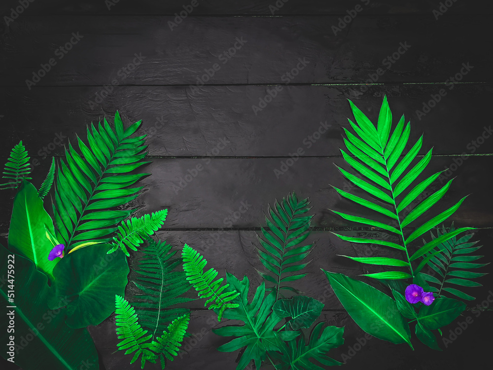 tropikalne liście z dżungli na drewnie - obrazy, fototapety, plakaty 