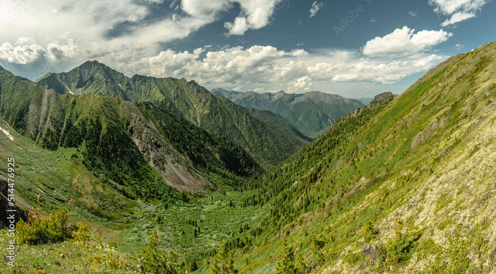 Summer landscape of a green mountain valley. The beauty of the Alpine, Caucasian mountains