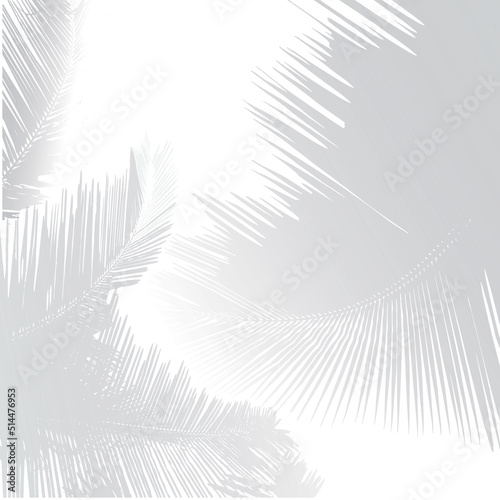 Overlay shadows. Transparent soft light, shadows, plant leaves and branches, natural lighting, decorative design elements