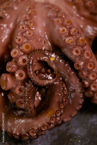 pulpo