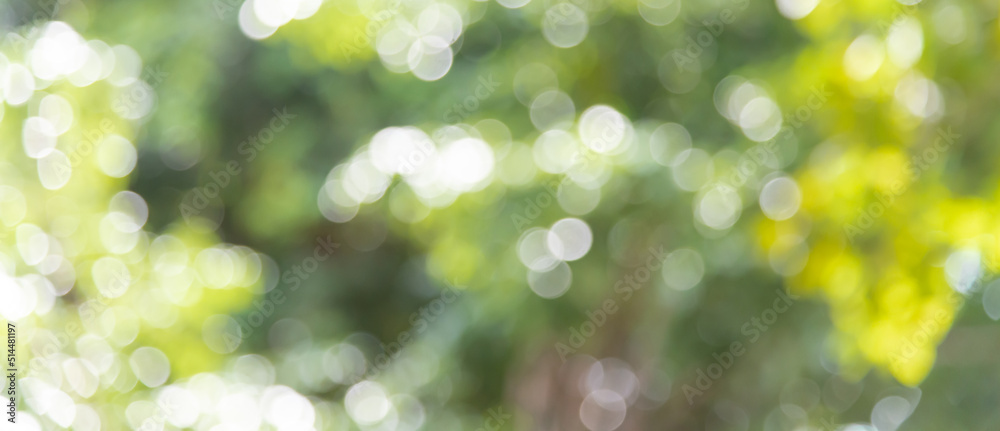 Amazing, Green light bokeh nature background.Abstract blurred nature background with bokeh for creative designs. Amazing, Green light bokeh nature background.Abstract blurred nature background with bokeh for creative designs.