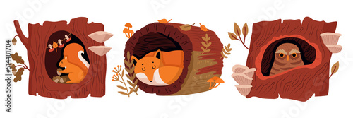 Forest Animals In Tree Hollow Compositions