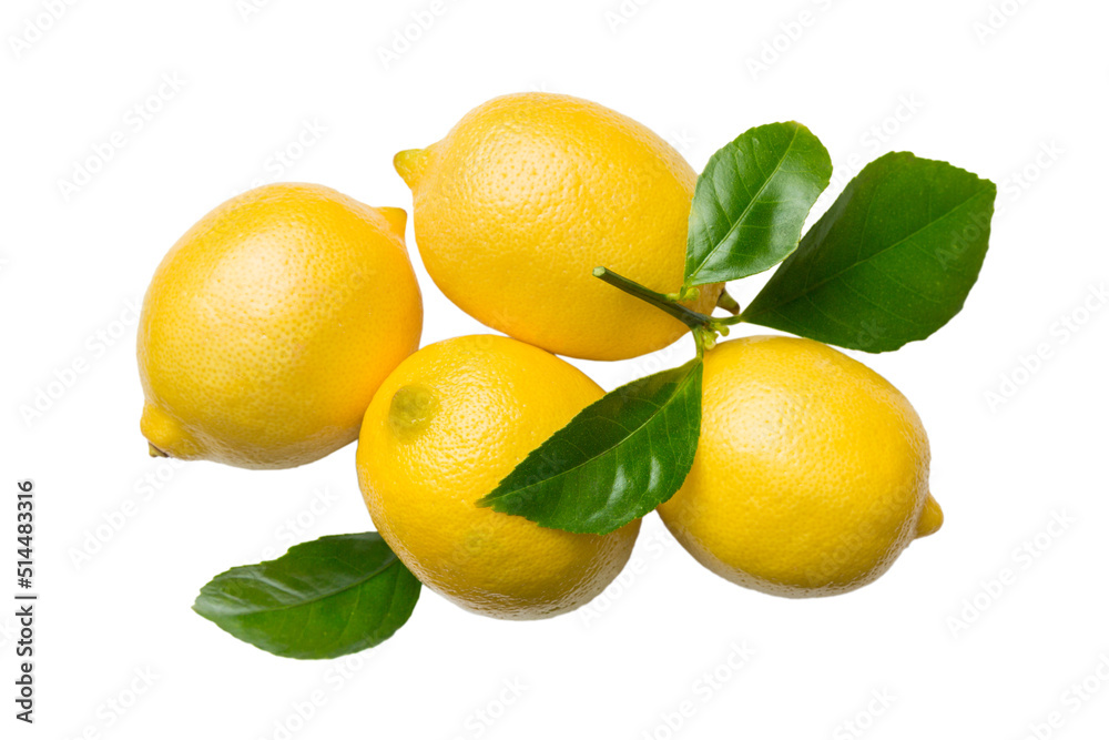 fresh lemon citrus fruit isolated on white background top view