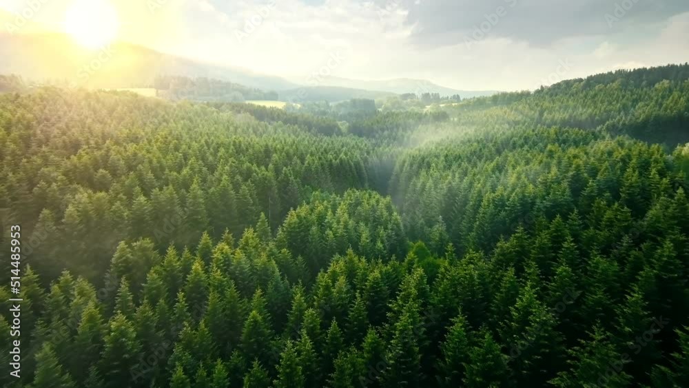 Morning flight with the view of the Bavarian Forest through the sunny rays