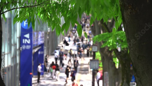 Crowd of people walk down on pedestrian walkway of the Omotesando Avenue under rows of fresh green Zelkova trees during spring season in Jingumae, Shibuya, Tokyo, Japan on April 25, 2022. photo