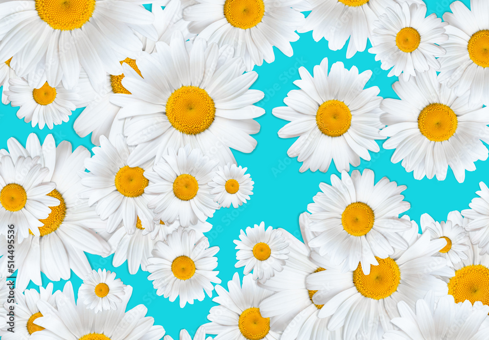 Daisies irregular pattern background Daisies irregular pattern background