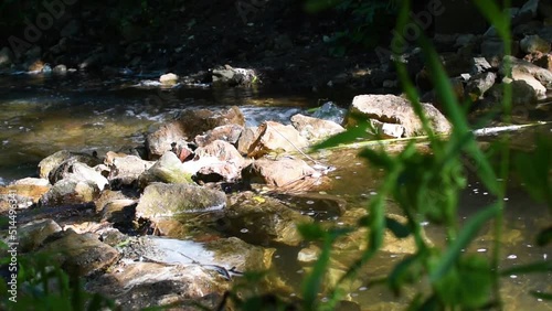 Calm flow in a mountain stream with a stone threshold and sunlight.