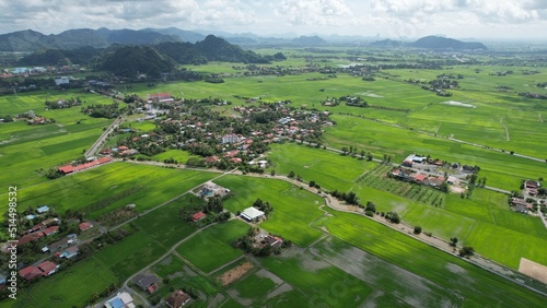 The Paddy Rice Fields of Kedah and Perlis, Malaysia © Julius