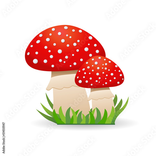Inedible mushrooms fly agaric. Vector illustration in cartoon style.