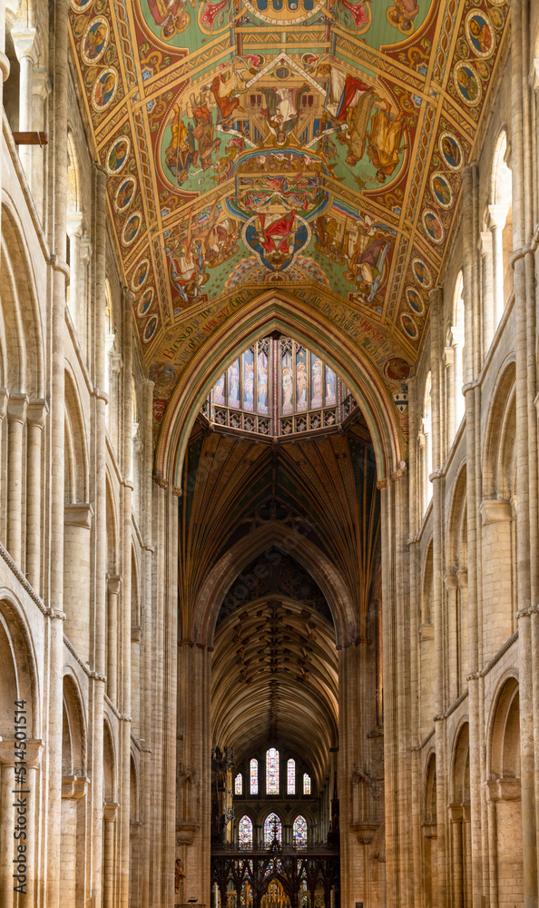 interior view of the central nave and painted ceiling of the Ely Cathedral in Norfolk