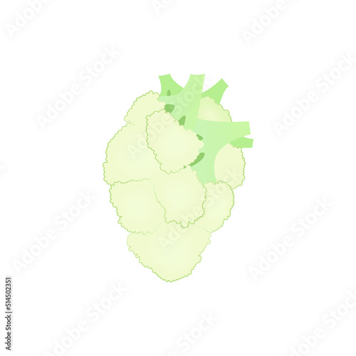 human heart from cauliflower