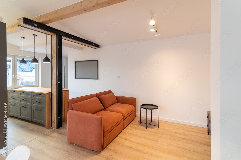 Salmon-colored sofa in a modern living room in an apartment