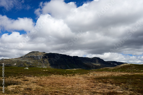 To the mountains. Middle of summer and its crisp and clear. the air is fresh and the water in clean. Freedom.