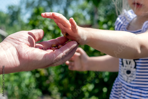 A little girl in the garden gives berries to her grandmother. The girl treats her grandmother