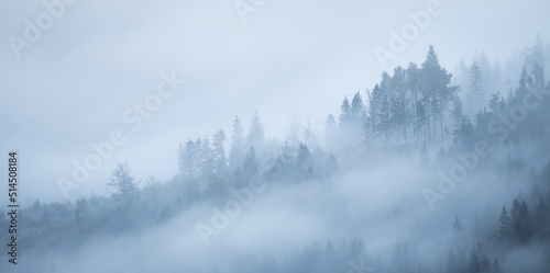Autumnal moody landscape with thick fog moving through woodland, Slovakia, Europe © Peter Kolejak