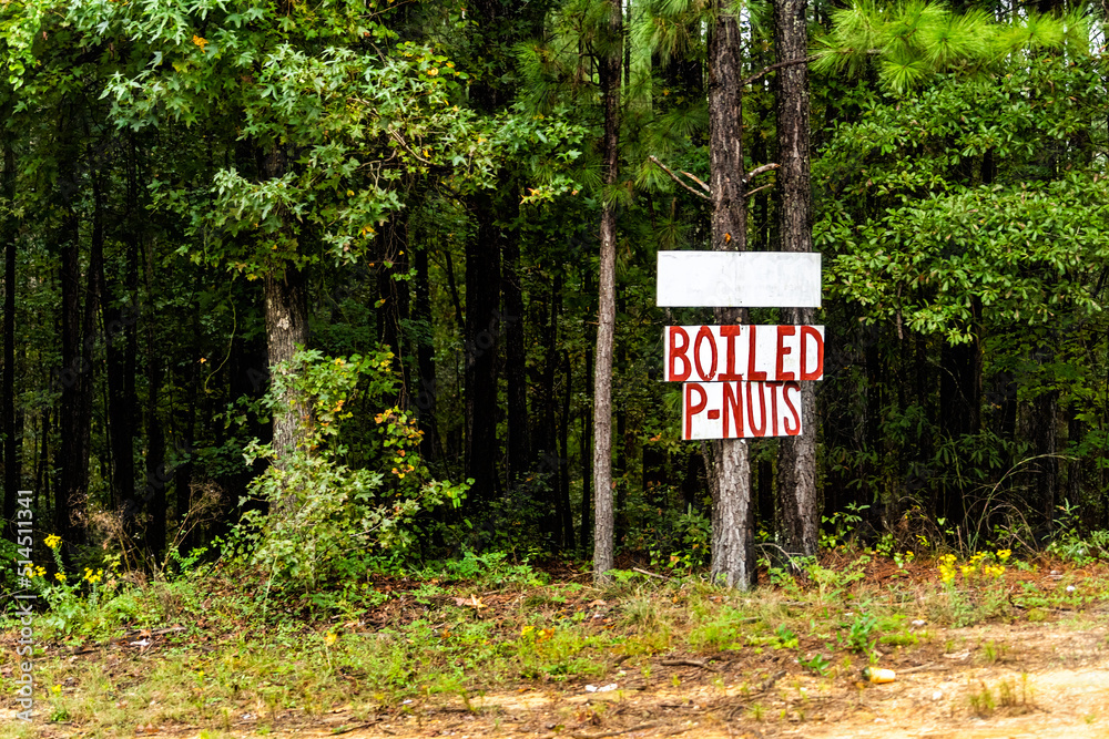 Sign in Eatonton, Georgia for Boiled P-nuts peanuts nuts handwritten in red text on signpost by forest trees as local food advertisement Sign in Eatonton, Georgia for Boiled P-nuts peanuts nuts handwritten in red text on signpost by forest trees as local food advertisement