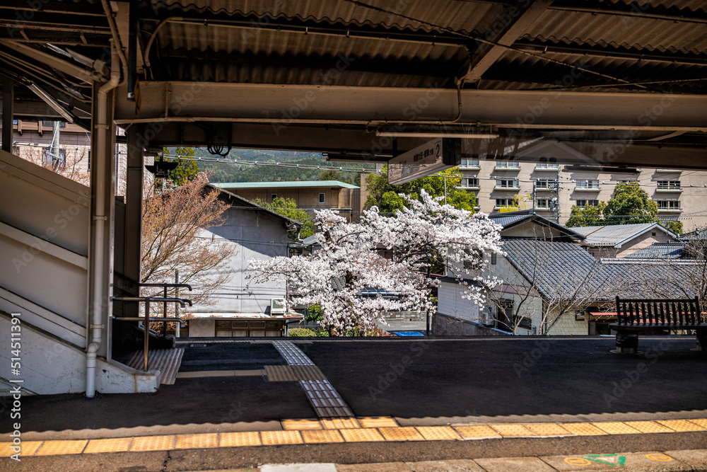 Gero Onsen, Japan village houses view from train station platform in Gifu prefecture with view of houses roof tiles n spring springtime and cherry blossom sakura flowers on trees