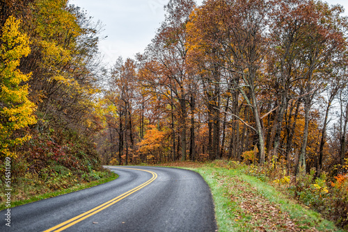 Colorful orange leaves in autumn fall foliage season on the Blue Ridge Parkway near Wintergreen  Virginia with paved asphalt road driving point of view winding street