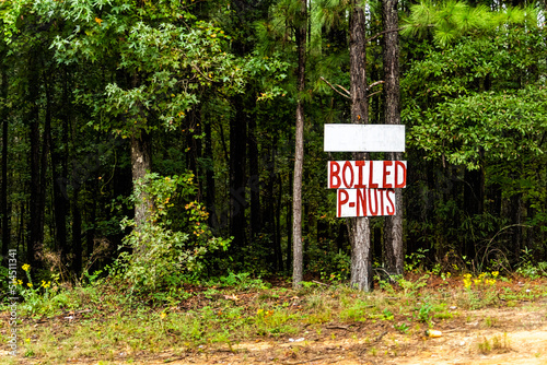 Sign in Eatonton, Georgia for Boiled P-nuts peanuts nuts handwritten in red text on signpost by forest trees as local food advertisement photo