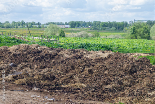 Obraz na płótnie Manure in heaps on a field on a farm in summer w salonie