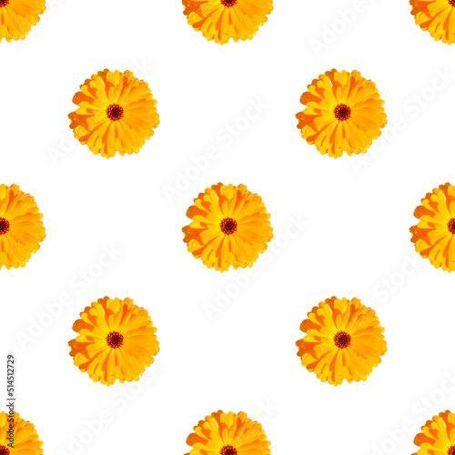Fototapeta Naklejka Na Ścianę i Meble -  Seamless pattern with  yellow marigolds on white background