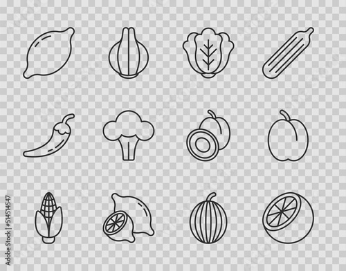 Set line Corn  Orange fruit  Cabbage  Lemon  Broccoli  Watermelon and Plum icon. Vector