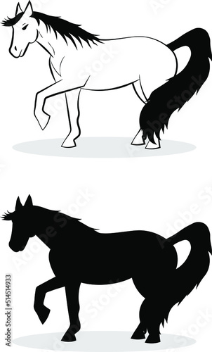 Horses silhouette. Outline of a horse.