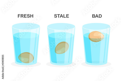 Egg freshness test. Floating vector eggs in glass of water.