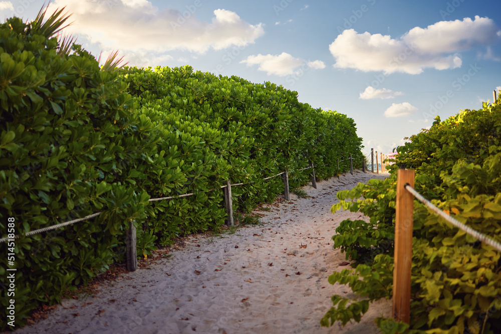 beautiful tropical pathway to sandy beach at summer morning beautiful tropical pathway to sandy beach at summer morning