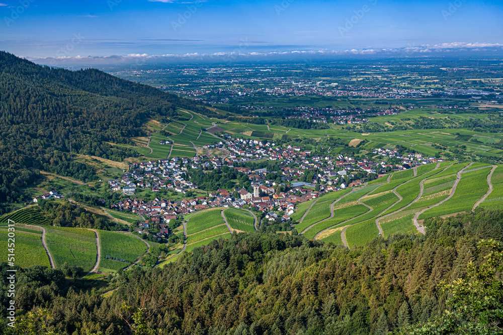 View over the Black Forest to the vineyards of the village Neuweier near Baden Baden, Germany - obrazy, fototapety, plakaty 