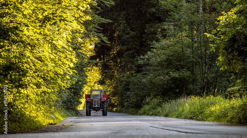 summer green wooded access road with tractor