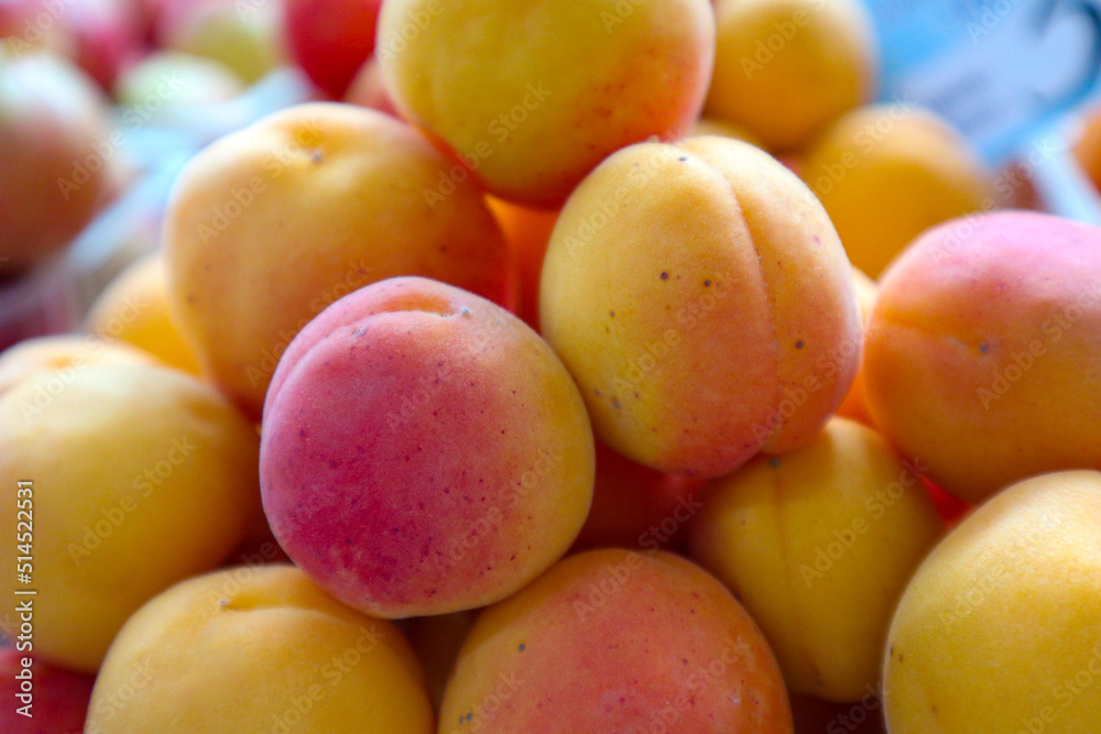 a mountain of delicious sweet juicy apricots   